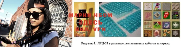 мяу мяу мука Баксан