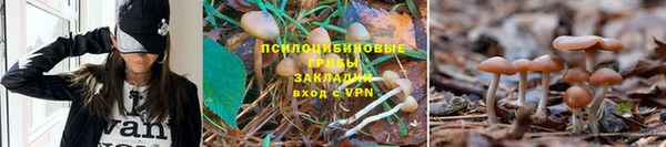 прущая мука Армянск