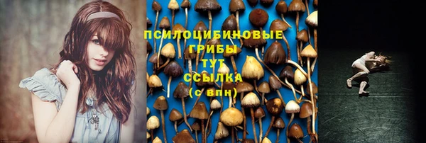 прущая мука Армянск